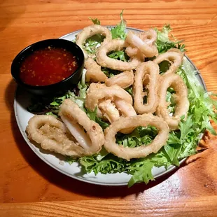 Fried Calamari