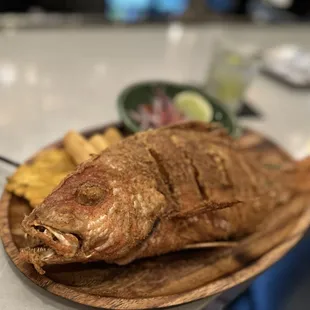Red snapper
