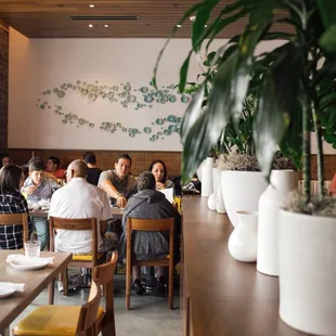 ramen and noodles, interior