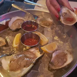 Oysters