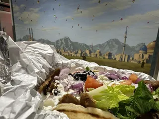Sultan's Kite