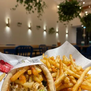 pita and french fries in a basket