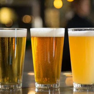 Selection of Draught Beers