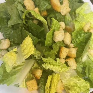 Caesar Salad sans the tomatoes and dressing