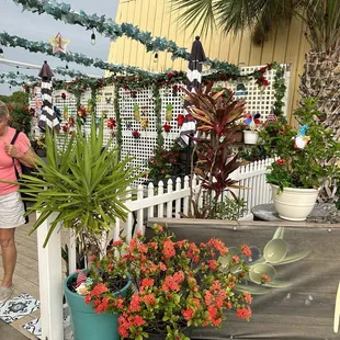 outdoor patio seating only. There's just a kitchen inside the building. Either call in to order or visit website for to-go