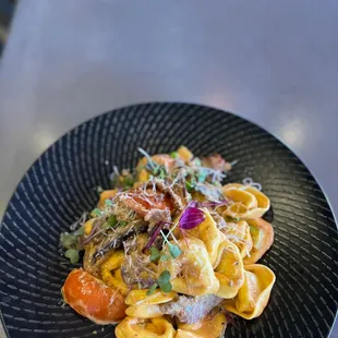 Tortellini pasta