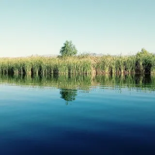 C A.