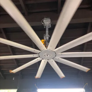 Huge fan outside, feels great