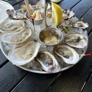 Mixed oysters on half shell.