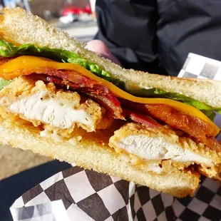 a person holding a sandwich