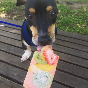 Pitchfork in the park popsicle