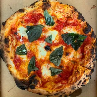 Margherita Pizzza