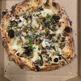 Mushroom Pizza