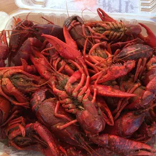 Crawfish