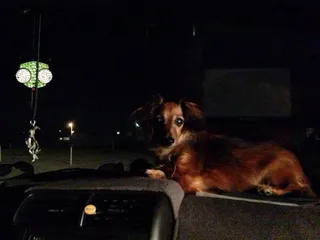 Barco Drive-In Theatre