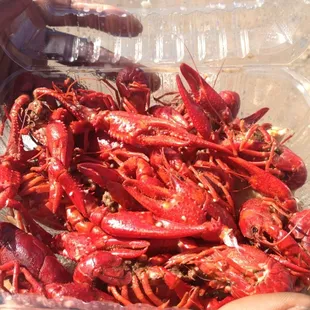 Fresh crawfish with garlic sauce