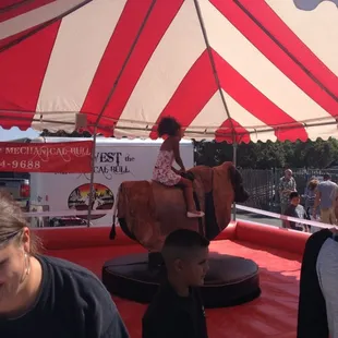 Bull ride