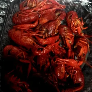 Crawdads! 1 lb $10