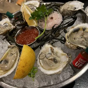 Oysters