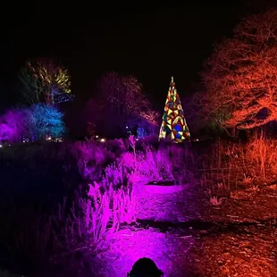 Outdoor light display