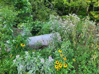 Penn Hills Community Park