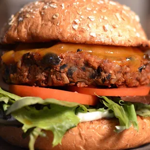 Veggie Burger - 
Cheddar Cheese | Caramelized Onions | Spring Mix | Tomato | Aioli