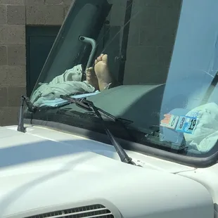 a dog sitting in the driver's seat of a truck