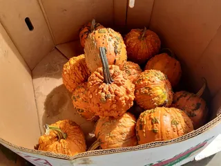 Bardine's Country Smokehouse