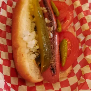 Chicago dog