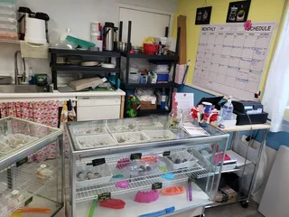 Lynette's MAD Custom Cakes