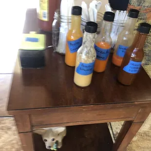 6 original sauces to choose and a Chihuahua