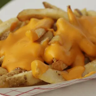 Pittsburgh&apos;s Best Food Truck - Stadium Cheese Fries. The house seasoning - &quot;O&quot; seasoning - adds a nice kick of flavor.