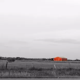 The view outside Pivo's