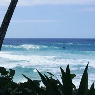 The best way to see the North Shore and its beautiful beaches.