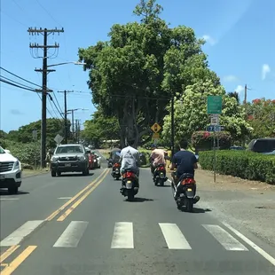 North Shore cruising on mopeds!!!