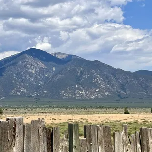 View from Patio