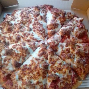 Medium sausage pizza