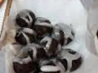 East of Chicago Pizza