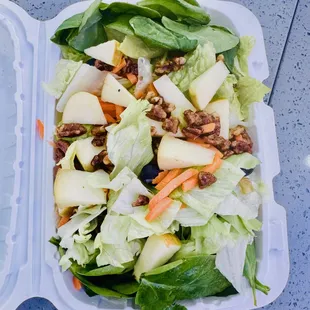 Entree Size - Baby Loves Salad