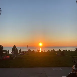 people sitting on the grass at sunset