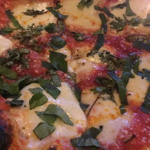 Fresh Mozzarella Pizza