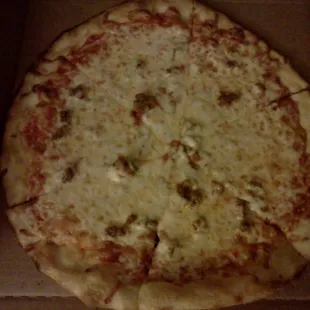 Our &quot;sausage&quot; pizza.... Seriously an inadequate amount of sausage for $13.