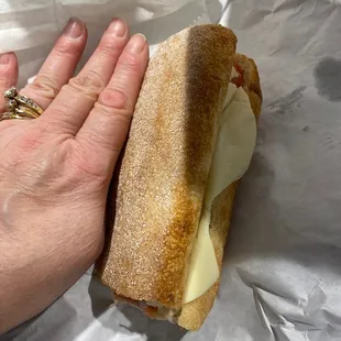 The sandwich half that was $9.00 whole. My hand as a size comp. I have a relatively small hand