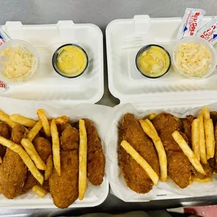 Crispy Chicken Tenders with Fries