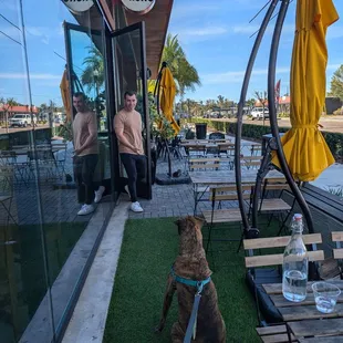 Outside patio, dog friendly