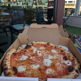 Classic original $18