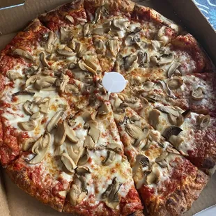 Mushroom pizza