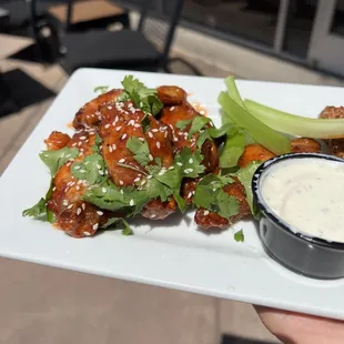 a hand holding a plate of food