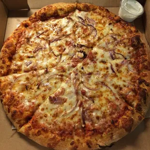Cheese &amp; onion pizza