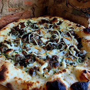 Mixed Haw River Mushrooms and taleggio cheese